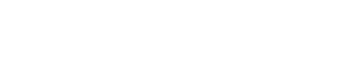 Halluo AI